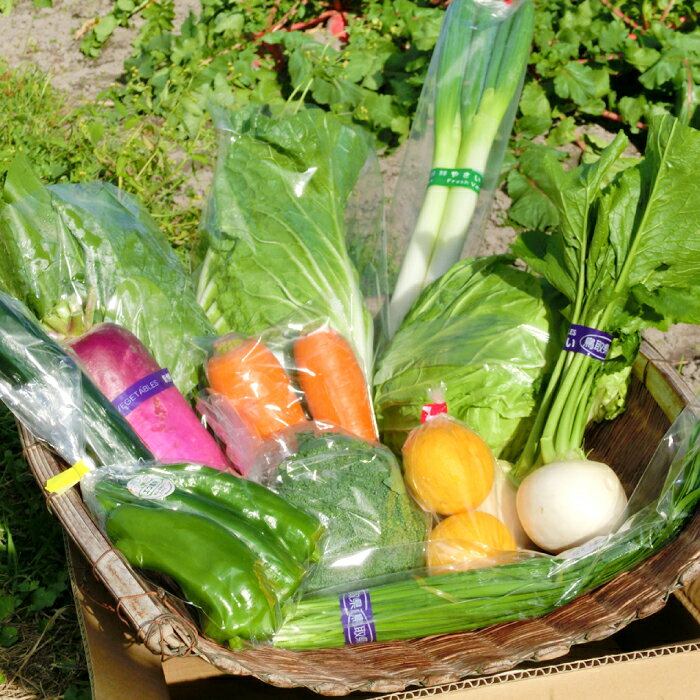 【ふるさと納税】新鮮朝採れ野菜　お手頃セット【 新鮮野菜 6~8種類 季節 旬 野菜 果物 詰め合せ 国産 おまかせ ミニセット 葉物 根菜 冷蔵 野菜室 加工品 鳥取県産 季節限定 山菜 加工品】 - 画像2