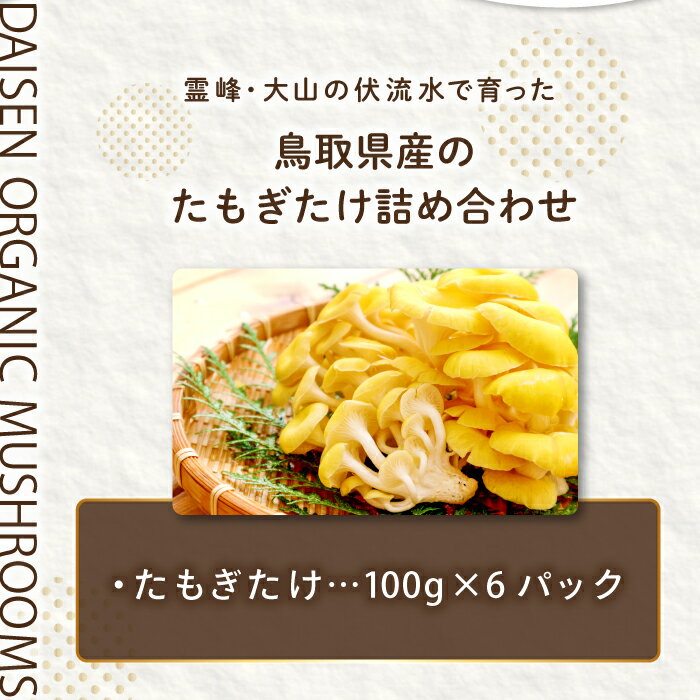 【ふるさと納税】オーガニック菌床たもぎたけ6パック　HO09 - 画像2