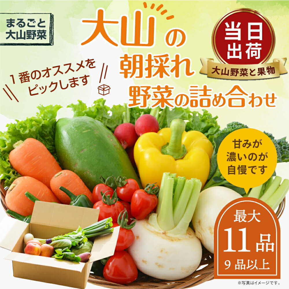 【ふるさと納税】MS-02 新鮮朝採れ野菜セット 野菜詰め合わせ 野菜 生野菜 野菜・果物・加工品 朝どれ野菜 野菜セット 詰め合わせ 10から15種類 新鮮 鳥取県 鳥取県産 大山町 大山 サラダ 常温保存 くだもの やさい 野菜加工品 バラエティセット 料理 サムネイル2