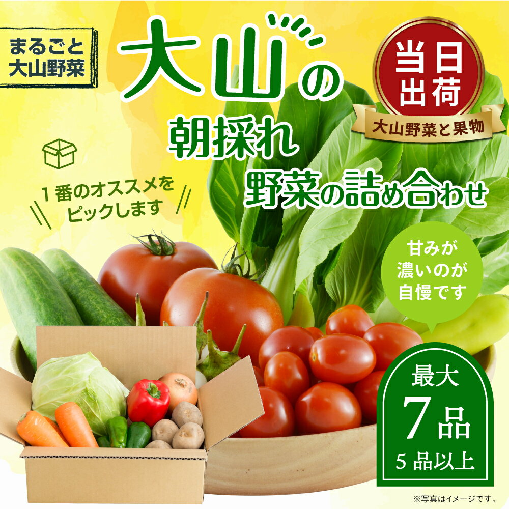 【ふるさと納税】MS-01 新鮮朝採れ野菜　お手ごろセット 野菜詰め合わせ 野菜 生野菜 果物・加工品 朝どれ野菜 野菜セット 詰め合わせ 野菜加工品 バラエティセット 料理 新鮮 鳥取県 鳥取県産 大山町 大山 サラダ 常温保存 くだもの やさい 6種類以上 - 画像2