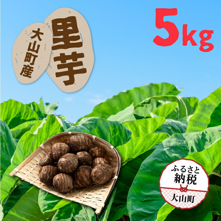 TY-02 大山町産里芋5kg 里芋 タカミノヤサイ 鳥取県 鳥取県産 大山町 大山 お土産 返礼品 国産 お取り寄せ ご当地