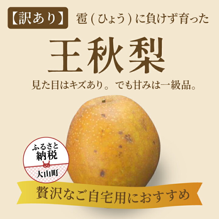 DS-27【訳あり梨】「ひょう」の被害を受けても力強く育つ王秋梨 5kg なし オリジナル フルーツ 鳥取県 鳥取県産 大山町 大山 お土産 返礼品 国産 お取り寄せ ご当地