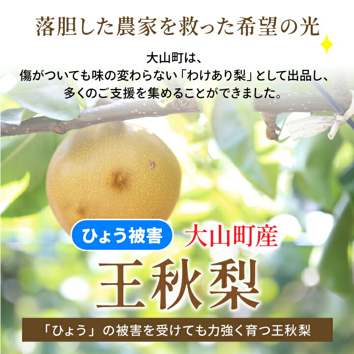 DS-27【訳あり梨】「ひょう」の被害を受けても力強く育つ王秋梨 5kg なし オリジナル フルーツ 鳥取県 鳥取県産 大山町 大山 お土産 返礼品 国産 お取り寄せ ご当地 サムネイル2
