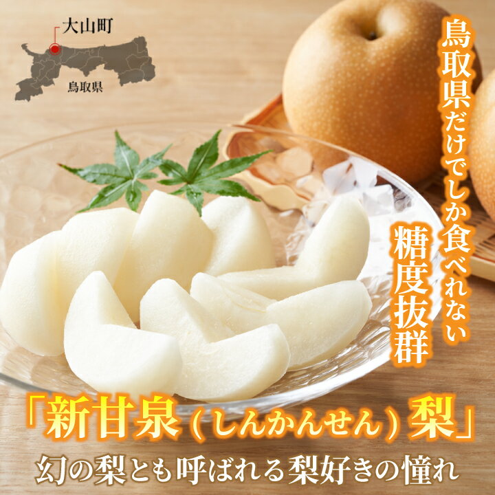 【ふるさと納税】新甘泉 しんかんせん 梨 5kg入り鳥取県 鳥取県産 大山町 大山 梨 果物 フルーツ ナシ 甘い 果汁 和梨 箱 甘み くだもの 国産 赤秀 新甘泉梨 なし 果実 数量限定 高級 【最高等級(赤秀)をお届け】【発送8月下旬〜9月上旬】DS-16 - 画像2