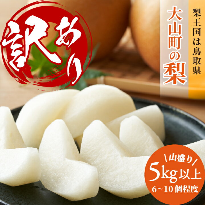 訳あり大山町産梨 5kg【品種はおまかせ】DS-22