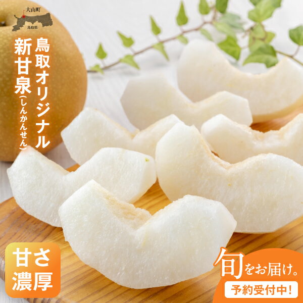 新甘泉 しんかんせん 梨 3kg【最高等級(赤秀)をお届け】鳥取県 鳥取県産 大山町 大山 梨 果物 フルーツ ナシ 甘い 果汁 和梨 箱 甘み くだもの 国産 赤秀 青秀 新甘泉梨 なし 果実 数量限定【発送8月中旬～9月上旬】DS-15