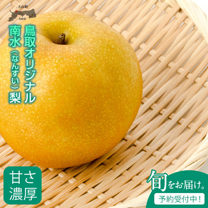 南水 なんすい 梨 5kg入り 鳥取県 鳥取県産 大山町 大山 梨 果物 フルーツ ナシ 甘い 果汁 和梨 箱 甘み くだもの 国産 青秀 赤秀 南水梨 なし 果実 数量限定 常温保存【発送9月中旬】DS-06