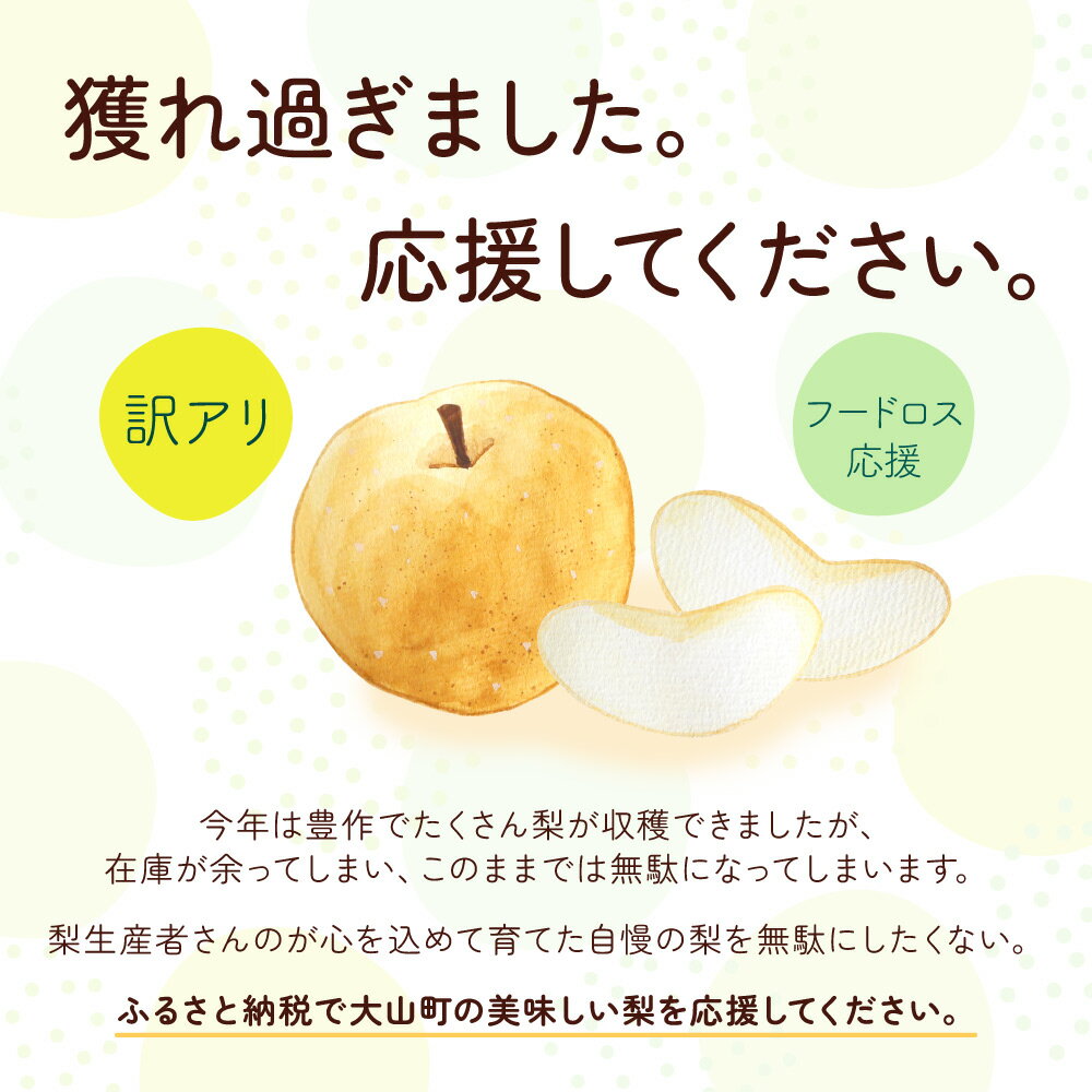 【ふるさと納税】 訳あり大山町産梨 5kg【品種はおまかせ】DS-22 サムネイル3