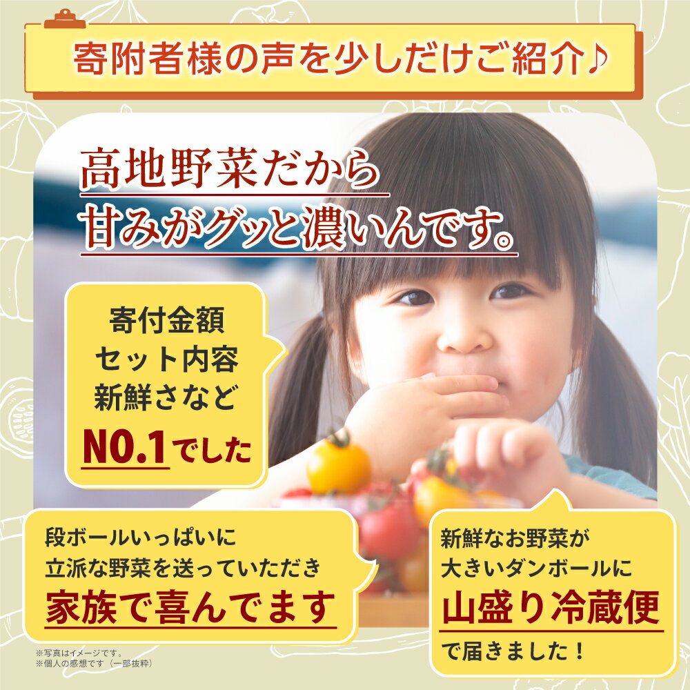 【ふるさと納税】MS-02 新鮮朝採れ野菜セット 野菜詰め合わせ 野菜 生野菜 野菜・果物・加工品 朝どれ野菜 野菜セット 詰め合わせ 10から15種類 新鮮 鳥取県 鳥取県産 大山町 大山 サラダ 常温保存 くだもの やさい 野菜加工品 バラエティセット 料理 サムネイル3