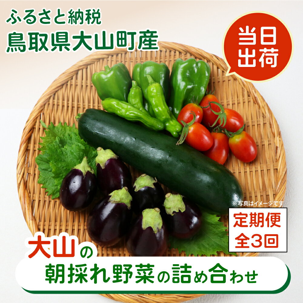 MS-03　新鮮朝採れ野菜セット　お手頃セット頒布会（計3回） 季節 野菜詰め合わせ 野菜 生野菜 加工品 朝どれ野菜 野菜セット 詰め合わせ 野菜加工品 バラエティセット 料理 新鮮 鳥取県 鳥取県産 大山町 大山 サラダ 常温保存 くだもの やさい 6種類以上