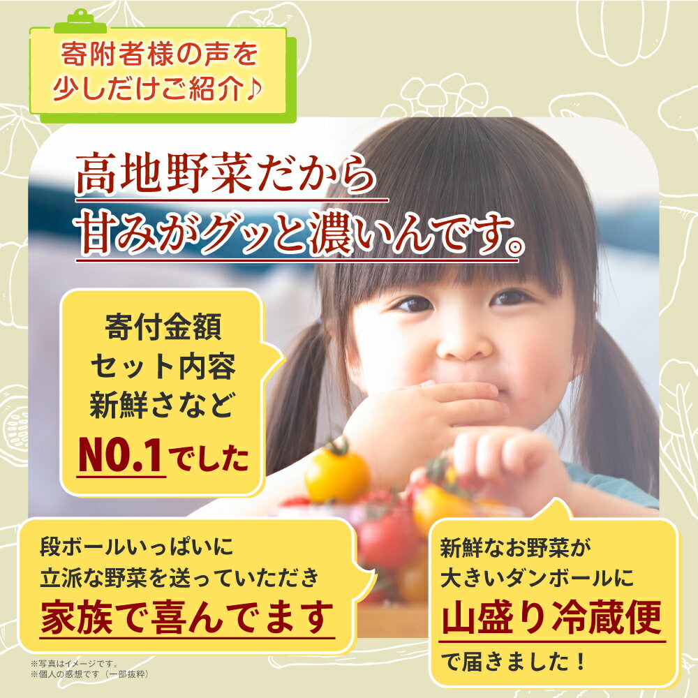 【ふるさと納税】MS-03　新鮮朝採れ野菜セット　お手頃セット頒布会（計3回） 季節 野菜詰め合わせ 野菜 生野菜 加工品 朝どれ野菜 野菜セット 詰め合わせ 野菜加工品 バラエティセット 料理 新鮮 鳥取県 鳥取県産 大山町 大山 サラダ 常温保存 くだもの やさい 6種類以上 - 画像3