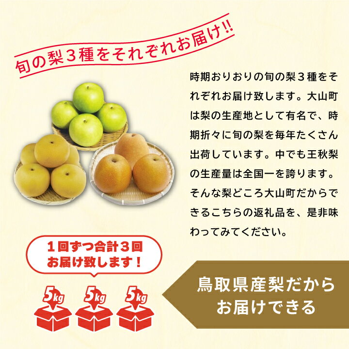 【ふるさと納税】梨の食べ比べ頒布会 5kg×3箱 二十世紀梨 あきづき梨 王秋梨 セット 定期便 数量限定 梨 5kg 鳥取県 鳥取県産 大山町 大山 梨 果物 フルーツ ナシ 甘い 果汁 和梨 くだもの 国産 食べ比べ 【8月・9月・11月の3回お届け】 DS-11 - 画像3