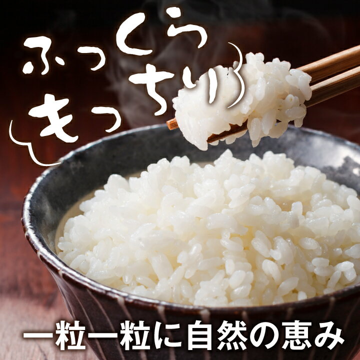 【ふるさと納税】MS-98 大山町産こしひかり【大山の一粒】10kg（白米） 鳥取県 鳥取県産 大山町 大山 大入り 料理 国産 鳥取 コシヒカリ こしひかり 大山産 - 画像3