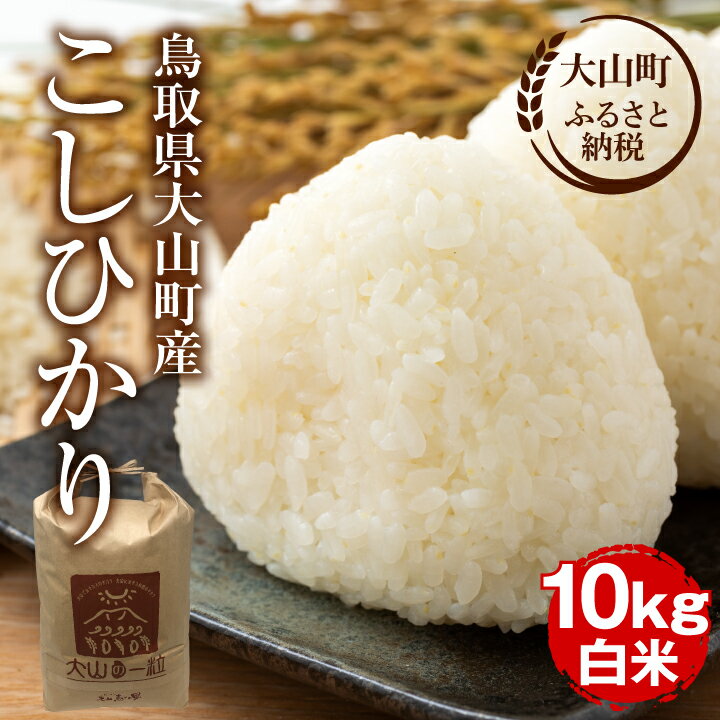 MS-98 大山町産こしひかり【大山の一粒】10kg（白米） 鳥取県 鳥取県産 大山町 大山 大入り 料理 国産 鳥取 コシヒカリ こしひかり 大山産