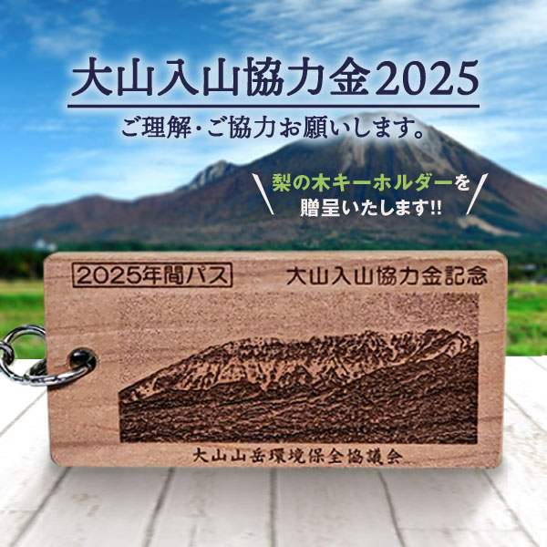 大山入山協力金（定額支払・2025シーズン）Da-01 山 山岳 環境 維持 寄付 寄付金 鳥取県 鳥取県産 大山町 大山 お土産 返礼品 国産 お取り寄せ ご当地