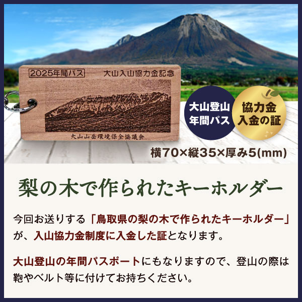 【ふるさと納税】大山入山協力金（定額支払・2025シーズン）Da-01 山 山岳 環境 維持 寄付 寄付金 鳥取県 鳥取県産 大山町 大山 お土産 返礼品 国産 お取り寄せ ご当地 サムネイル3