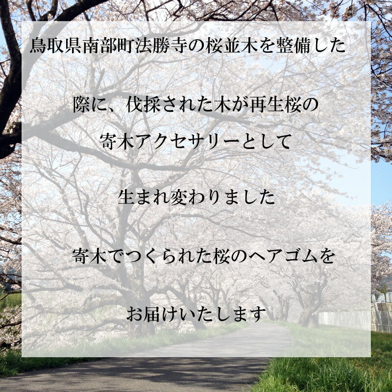 【ふるさと納税】鳥取県南部町法勝寺の再生桜 桜 さくら 寄木 ヘアゴム ヘアアクセサリー 鳥取県南部町 サムネイル3