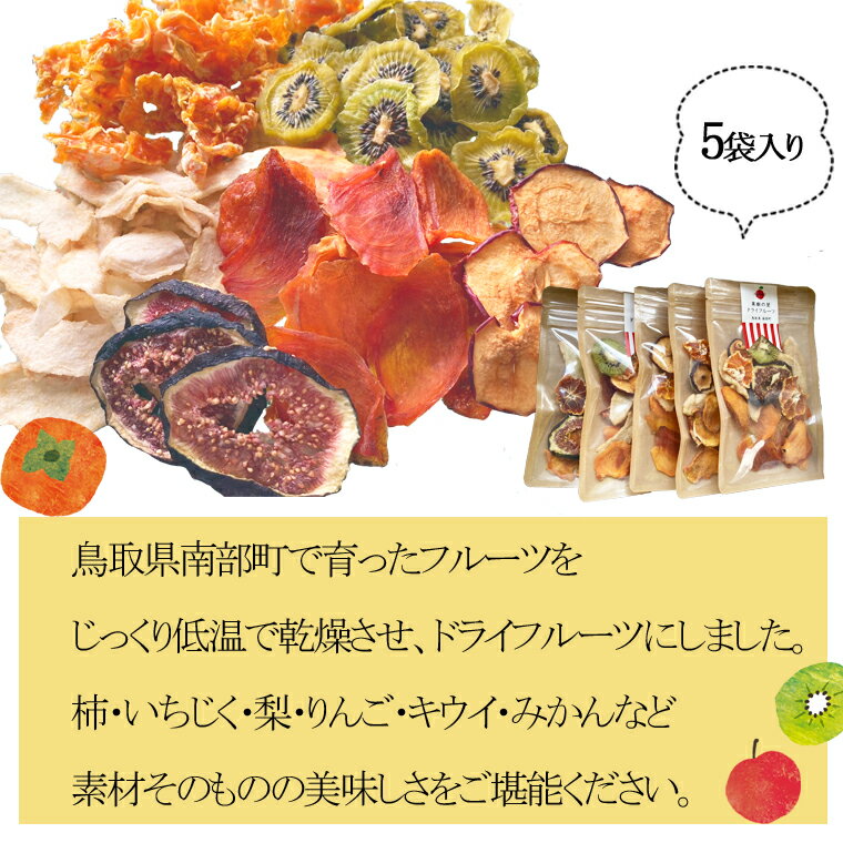【ふるさと納税】果樹の里　ドライフルーツミックス40g×5袋セット サムネイル2