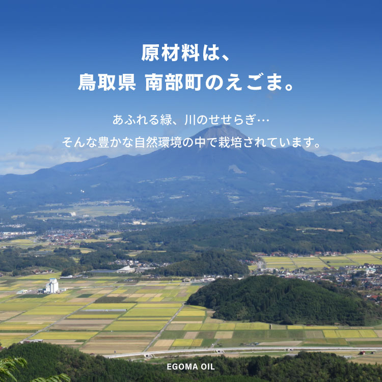 【ふるさと納税】農薬不使用 鳥取県南部町産えごま油 なんぶの雫(95g×3本) 国産 えごま エゴマ油 荏胡麻油 鳥取県南部町 サムネイル2