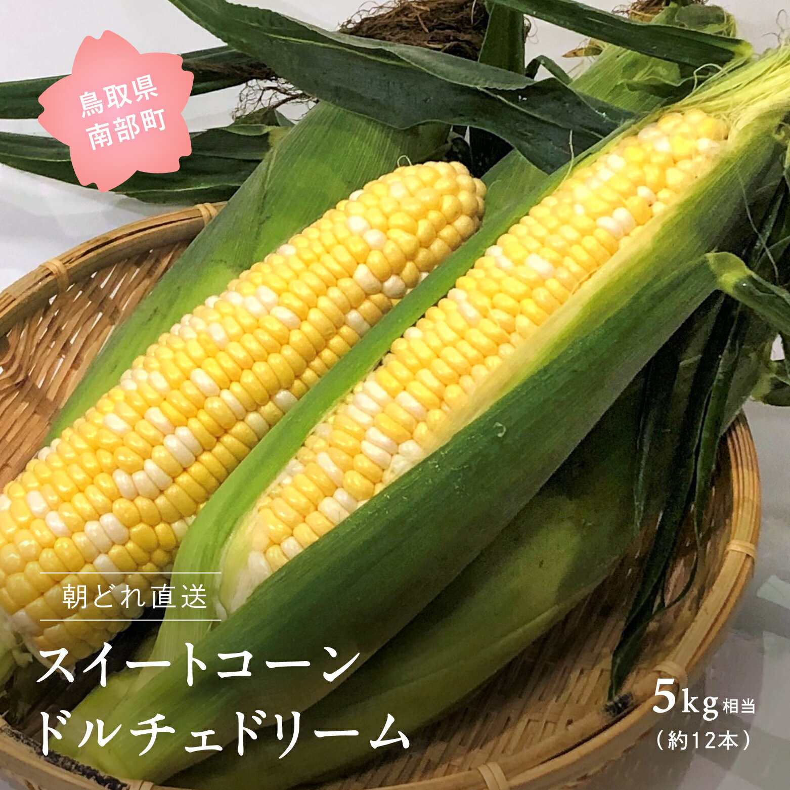 南部町産 朝採れスイートコーン（バイカラー種ドルチェドリーム）5kg箱＜数量限定＞ 2026年収穫分 スイートコーン とうもろこし トウモロコシ コーン 鳥取県南部町
