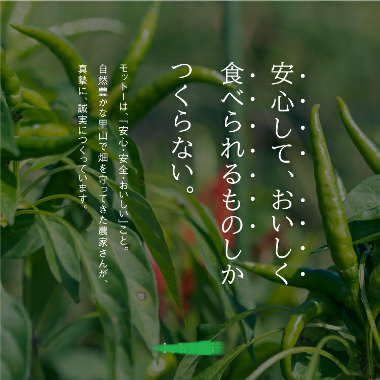 【ふるさと納税】松尾農園 プレミアムドレッシングセット しいたけ 柚子一味 シイタケ 椎茸 サムネイル3