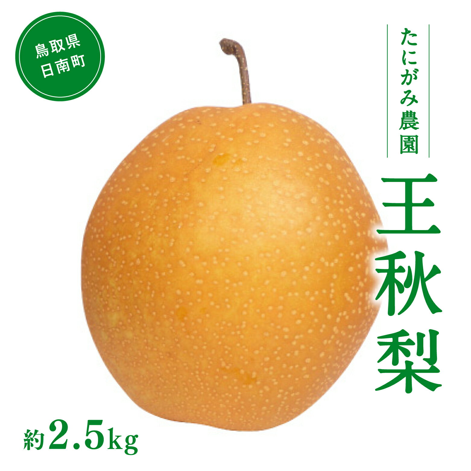 【11月中旬以降順次発送】たにがみ農園 王秋梨 2.5kg (3玉～7玉) 梨 なし フルーツ 果物 くだもの 鳥取県 佐治 梨 なし ナシ