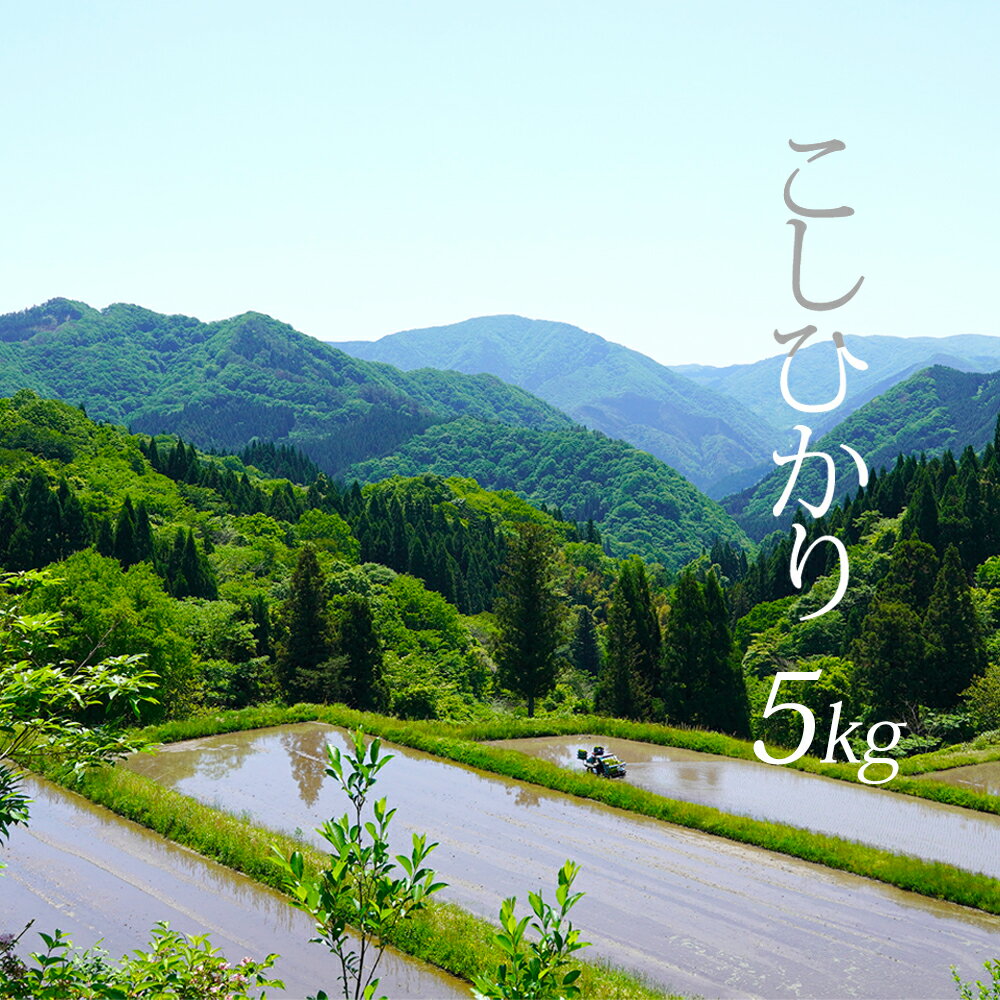 【白米・玄米・無洗米対応可】【5kg・10kg・20kg】令和7年産 日南町 高級米 七金星 (ななきんぼし) コシヒカリ 真空パック 米 お米 おこめ 鳥取県日南町 こしひかり