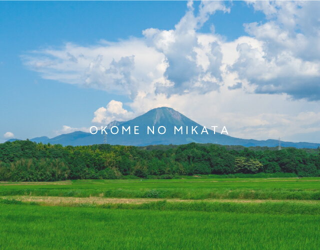 【ふるさと納税】【5営業日以内発送】令和7年産 鳥取県産コシヒカリ 5kg / 10kg / 20kg 返礼品 米 お米 おこめ こめ こしひかり おこめのみかた 鳥取県日野町 - 画像3
