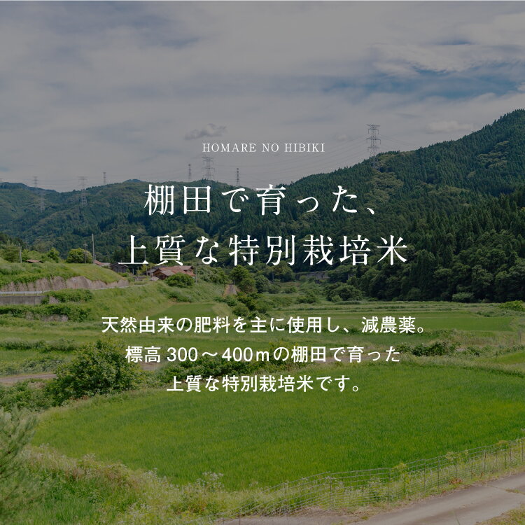 【優栽】令和7年産 特別栽培米 10kg 鳥取県 日野町 白米 精米 玄米 玄米選択可 単一原料米 コシヒカリ こしひかり 米 お米 【ふるさと納税】 - 画像3