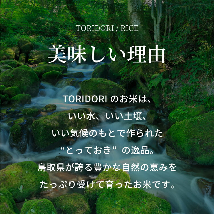 【ふるさと納税】【5営業日以内発送】【令和7年産】鳥取県産コシヒカリ 5kg（5kg×1）米 コシヒカリ こしひかり お米 白米 精米 5キロ おこめ こめ コメ 真空パック包装 真空包装 長期保存 単一原料米 鳥取県日野町産 Elevation 予約 - 画像3