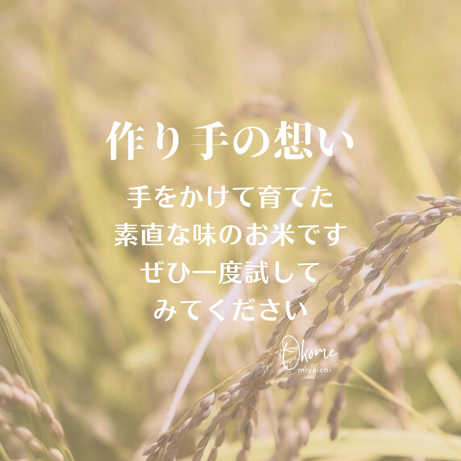 【ふるさと納税】お米 きぬむすめ 2kg 鳥取県江府町産 キヌムスメ 精米 産地直送 お試し 令和7年産 - 画像3
