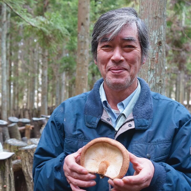 【ふるさと納税】しいたけ醤油奥大山 だし醤油 1L×2本 原木栽培椎茸 / SAC中尾 椎茸屋 0801 サムネイル3