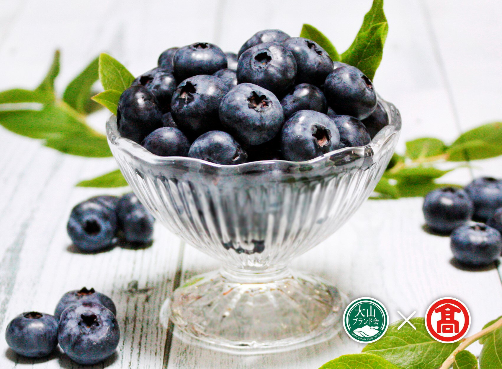 【ふるさと納税】＜奥大山ブルーベリーファーム＞冷凍ブルーベリー 1.5キロ（大山ブランド会）米子高島屋 19-BI4 0380 サムネイル2