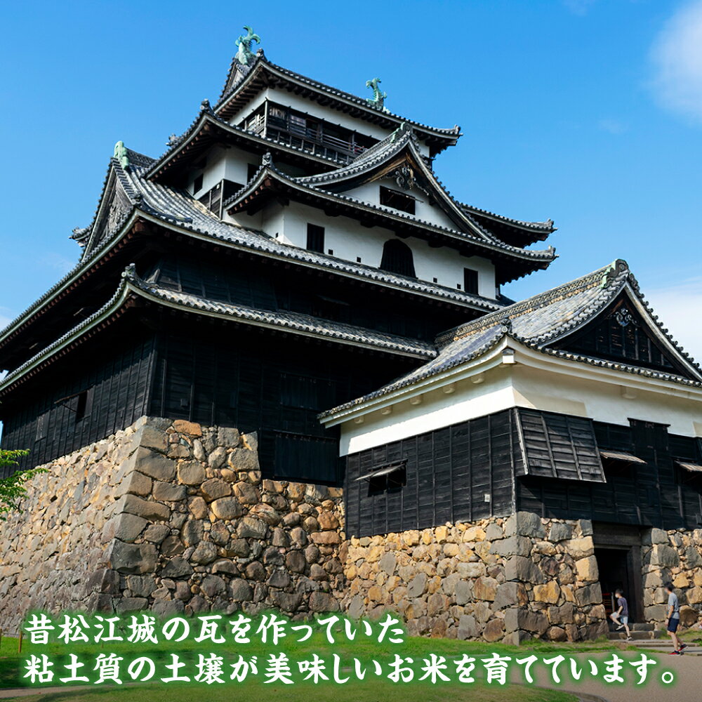 【ふるさと納税】【令和7年産】米 炊きたてが美味しい！松江市産きぬむすめ「ながえ米」2kg〜20kg 島根県松江市/有限会社藤本米穀店[ALCG001]｜ 米 おこめ ごはん ご飯 飯 きぬむすめ ブランド米 食卓 おにぎり 白米 お米 産地直送 島根 松江 炊き込みご飯 - 画像2