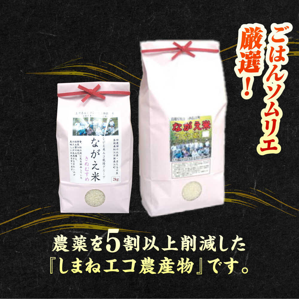 【ふるさと納税】【令和7年産】米 炊きたてが美味しい！松江市産きぬむすめ「ながえ米」2kg〜20kg 島根県松江市/有限会社藤本米穀店[ALCG001]｜ 米 おこめ ごはん ご飯 飯 きぬむすめ ブランド米 食卓 おにぎり 白米 お米 産地直送 島根 松江 炊き込みご飯 - 画像3