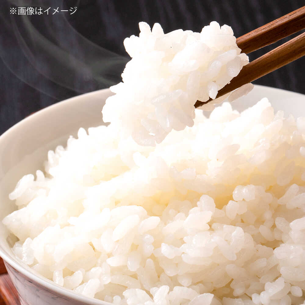 【ふるさと納税】【令和7年産】【数量限定50個】 米 島根が誇るブランド米！ 仁多米「にたひかり」5kg〜20kg 〜生産者限定米〜 島根県松江市/有限会社藤本米穀店[ALCG005]｜ 米 おこめ ごはん ご飯 食卓 おにぎり お米 コシヒカリ ブランド米 島根 松江 - 画像3