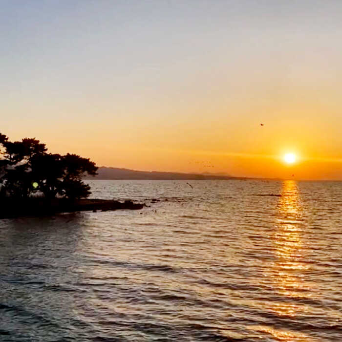 【ふるさと納税】利用券 宍道湖遊覧船乗船券(2名分) 島根県松江市/白鳥観光有限会社[ALFA003]｜ 体験 チケット 宍道湖 遊覧船 乗船券 おすすめ 人気 プレゼント 記念日 お祝い ギフト 贈答 プレゼント ペア 観光 旅行 レジャー 船旅 島根県 島根 松江市 松江 夫婦 カップル - 画像3