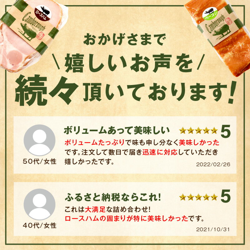 【ふるさと納税】【DLGコンテスト2024金賞受賞】【レビューCP対象】浜田で生産・加工したケンボロー芙蓉ポーク ハム・ベーコン・ソーセージ詰め合わせセット ふるさと納税 ハム ソーセージ ベーコン 詰め合わせ 詰合せ セット ギフト 贈り物 【002_1954】 サムネイル3