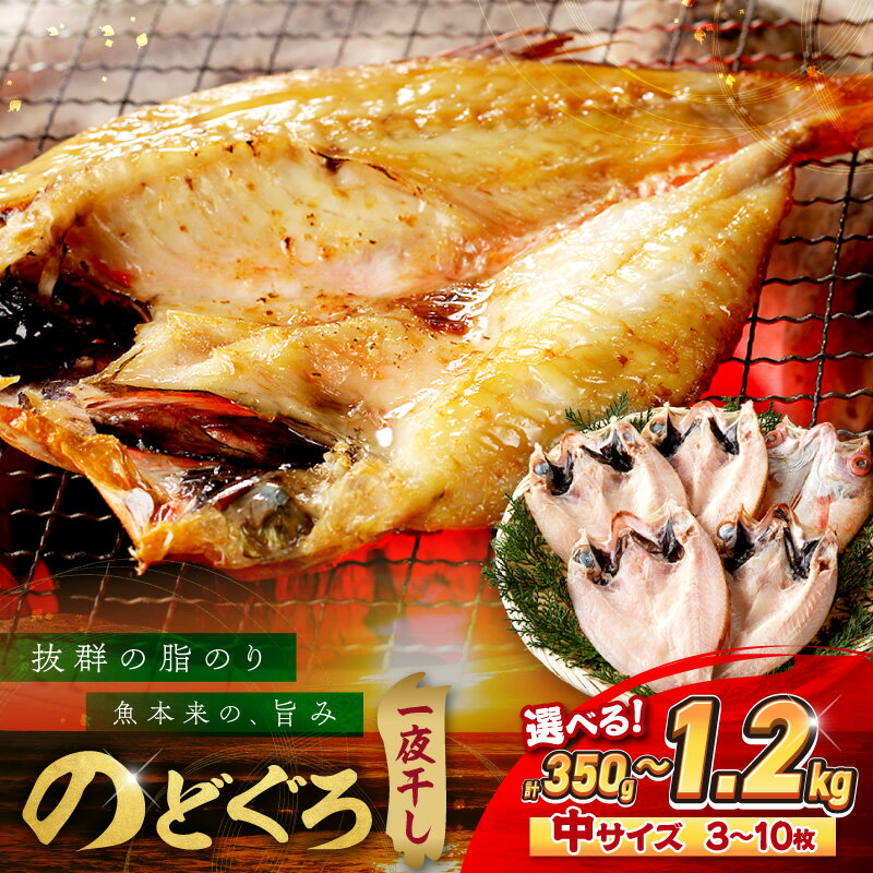【 父の日 お中元 】【産地直送肉厚ジューシーなのどぐろ！】のどぐろ一夜干し「大人気セット」【350g 550g 800g 1.0kg 1.2kg 】 選べる 内容量 干物 一夜干し セット 詰め合わせ ふるさと納税 のどぐろ