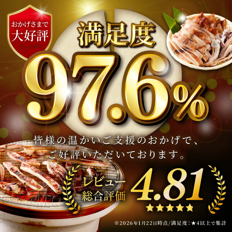 【ふるさと納税】【 父の日 お中元 】島根県産 スルメイカ一夜干しカット済 【600g 800g 1.2kg 1.6kg 2kg 2.4kg】選べる 内容量 産地直送 干物 一夜干し イカ するめいか 人気 大容量 小分け 国産 ふるさと納税 イカ ふるさと納税するめいか - 画像3