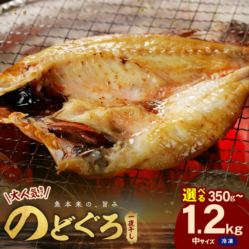 【レビューCP対象】【産地直送肉厚ジューシーなのどぐろ！】のどぐろ一夜干し「大人気セット」選べる内容量 350g 550g 800g 1.0kg 1.2kg 干物 一夜干し セット 詰め合わせ のどぐろ 贈り物 贈答ギフト