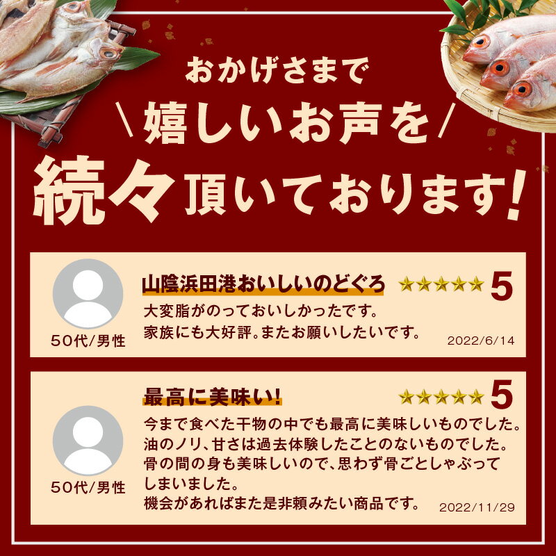 【ふるさと納税】【レビューCP対象】【産地直送肉厚ジューシーなのどぐろ！】のどぐろ一夜干し「大人気セット」選べる内容量 350g 550g 800g 1.0kg 1.2kg 干物 一夜干し セット 詰め合わせ のどぐろ 贈り物 贈答ギフト サムネイル2