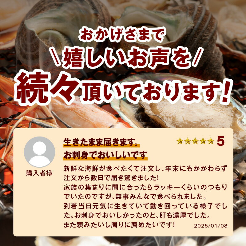 【ふるさと納税】豪華サザエ・あわび詰合せ【本田商店】 海鮮 貝 ふるさと納税 サザエ ふるさと納税 あわび 鮑 詰め合わせ セット BBQ バーベキュー 【033_1775】 - 画像2