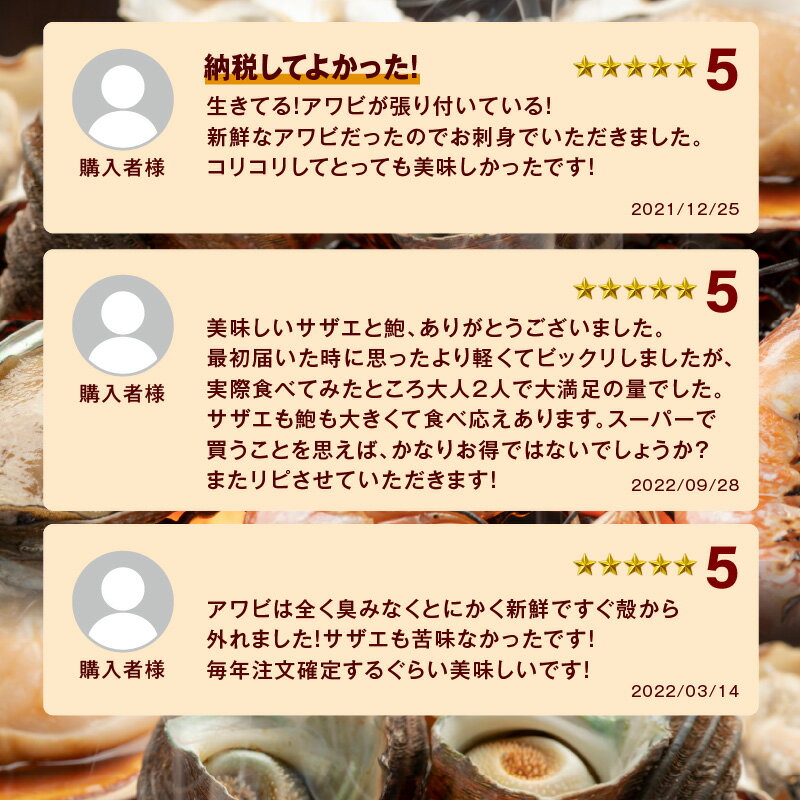 【ふるさと納税】【レビューCP対象】豪華サザエ・あわび詰合せ【本田商店】 海鮮 貝 ふるさと納税 サザエ ふるさと納税 あわび 鮑 詰め合わせ セット BBQ バーベキュー 【033_1775】 サムネイル3