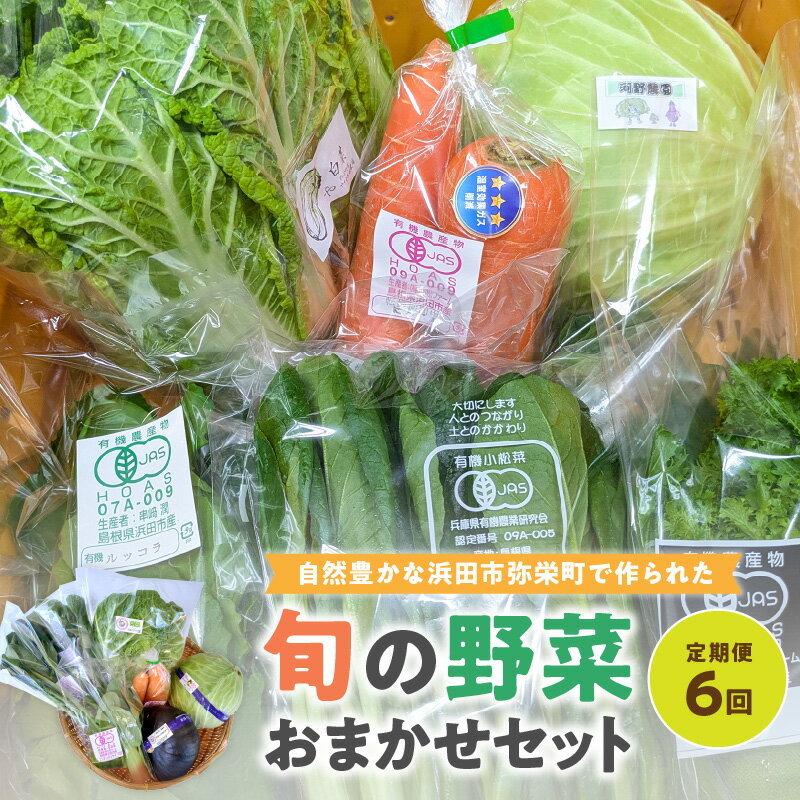 自然豊かな浜田市弥栄町で作られた「旬の野菜おまかせセット」（6回コース） 野菜 定期 6回 旬 詰め合わせ おまかせ 直送 野菜セット セット 【109_1348】