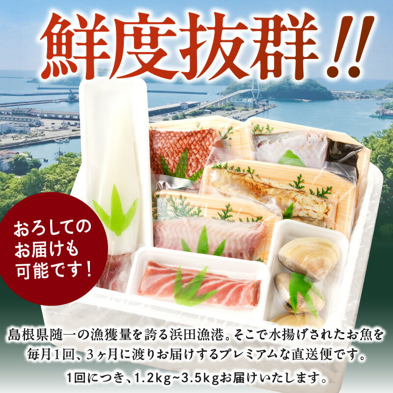【ふるさと納税】【レビューCP対象】【総合評価4.70獲得！鮮魚屋にお任せ！大満足の定期便】【定期便】 この男の目利き！〜浜田の旨い鮮魚3回お届けコース〜 定期便 セット 3回 海鮮セット 海鮮 鮮魚 セット 下処理済み 楽天市場 おすすめ 返礼品 お取り寄せ 【006_2042】 サムネイル2