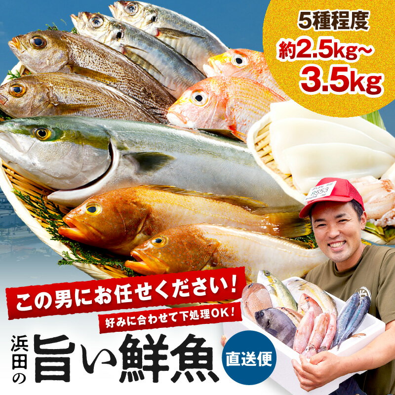 【レビューCP対象】この男に任せてみませんか〜浜田の旨い鮮魚直送便〜 海鮮 鮮魚 詰め合わせ セット おまかせ 人気 お取り寄せ 【006_2043】