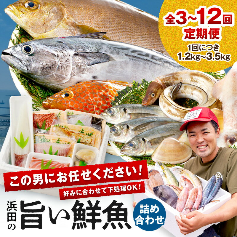 【総合評価4.70獲得！鮮魚屋にお任せ！大満足の定期便】【定期便】 この男の目利き！〜浜田の旨い鮮魚お届けコース〜【3回 4回 6回 12回】 定期便 セット 海鮮セット 海鮮 鮮魚 セット 下処理済み 楽天市場 おすすめ 返礼品 お取り寄せ