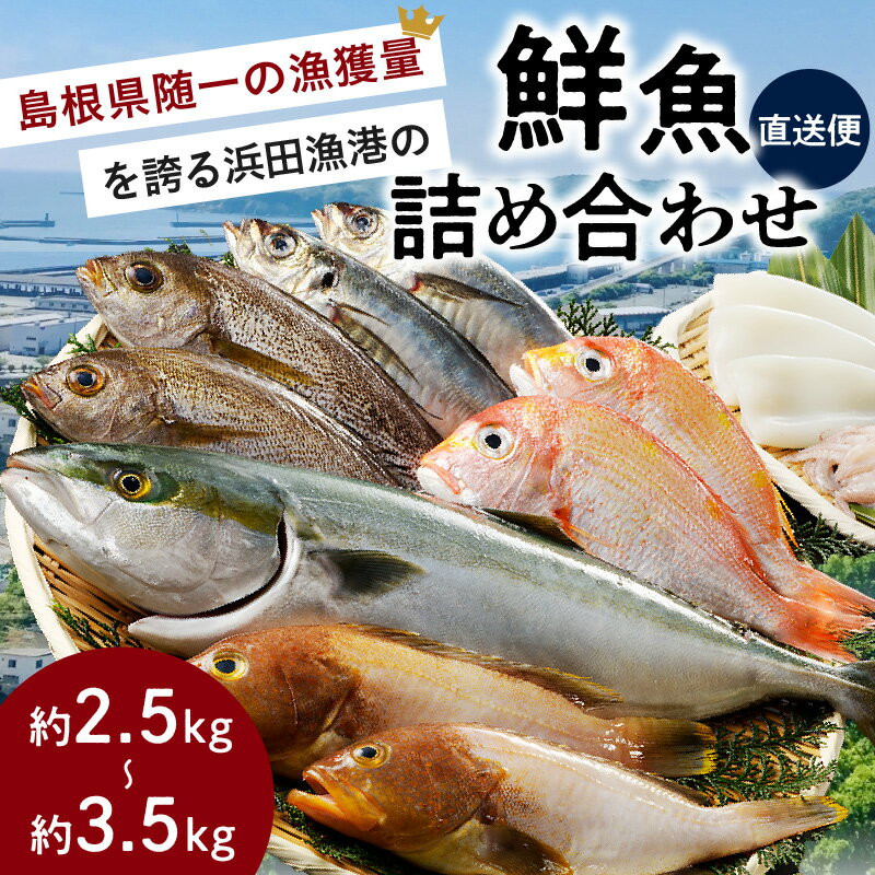 【ふるさと納税】【レビューCP対象】この男に任せてみませんか〜浜田の旨い鮮魚直送便〜 海鮮 鮮魚 詰め合わせ セット おまかせ 人気 お取り寄せ 【006_2043】 サムネイル2
