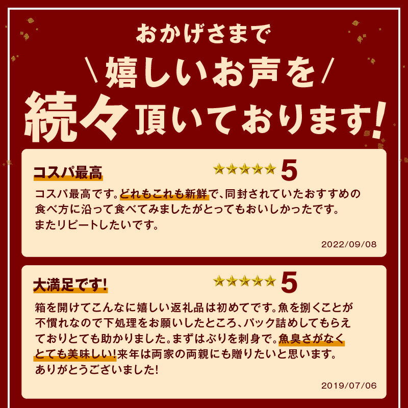 【ふるさと納税】【レビューCP対象】この男に任せてみませんか〜浜田の旨い鮮魚直送便〜 海鮮 鮮魚 詰め合わせ セット おまかせ 人気 お取り寄せ 【006_2043】 サムネイル3